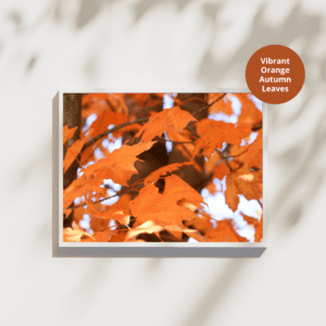 Vibrant Orange Autumn Leaves Printable Wall Art
