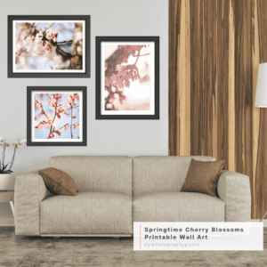 Springtime Cherry Blossoms Bundle Printable Wall Art