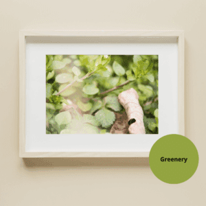 Greenery Printable Wall Art